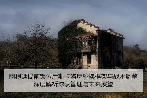 a-gen-ting-ti-qian-suo-wei-hou-si-ka-luo-ni-lun-huan-kuang-jia-yu-zhan-shu-tiao-zheng-shen-du-jie-xi-qiu-dui-guan-li-yu-2-648.jpg