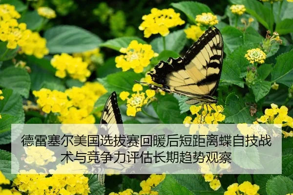 德雷塞尔美国选拔赛回暖后短距离蝶自技战术与竞争力评估长期趋势观察