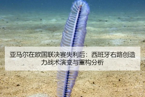 亚马尔在欧国联决赛失利后：西班牙右路创造力战术演变与重构分析