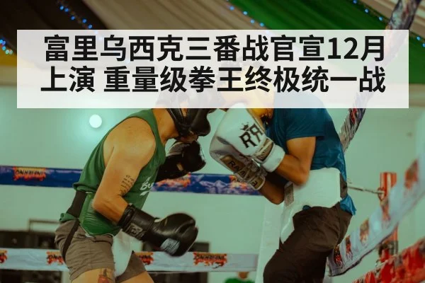 富里乌西克三番战官宣12月上演 重量级拳王终极统一战