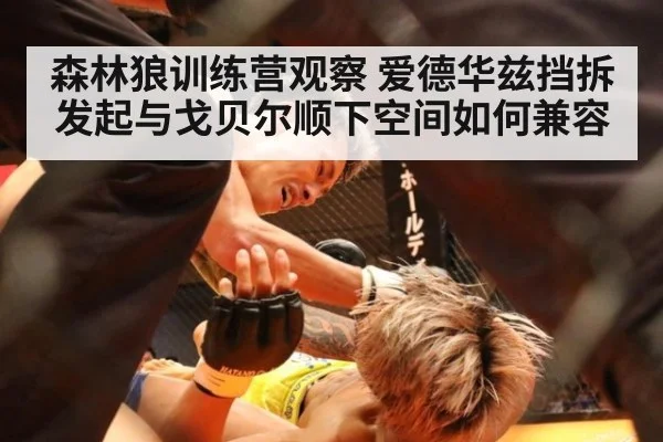森林狼训练营观察 爱德华兹挡拆发起与戈贝尔顺下空间如何兼容
